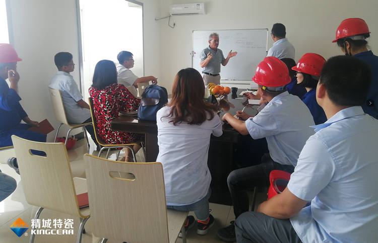 湖南888集团特邀意大利专家进行质量治理培训