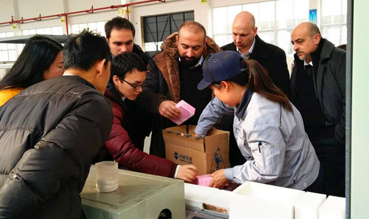 welcometo迎接惠临888集团(中国)有限公司